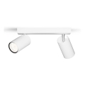 Philips - Koupelnové bodové svítidlo IDRIS 2xGU10/5W/230V IP44 bílá