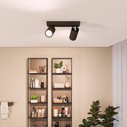 Philips - Koupelnové bodové svítidlo IDRIS 2xGU10/5W/230V IP44 černá