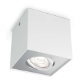 Philips - LED bodové svítidlo 1xLED/4,5W/230V