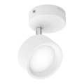 Philips - LED Bodové svítidlo LED/5,5W/230V bílá