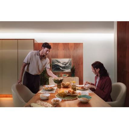 Philips - LED RGBW Stmívatelný pásek Hue FLUX 3+2m LED/48,5W/230V 2200-6500K
