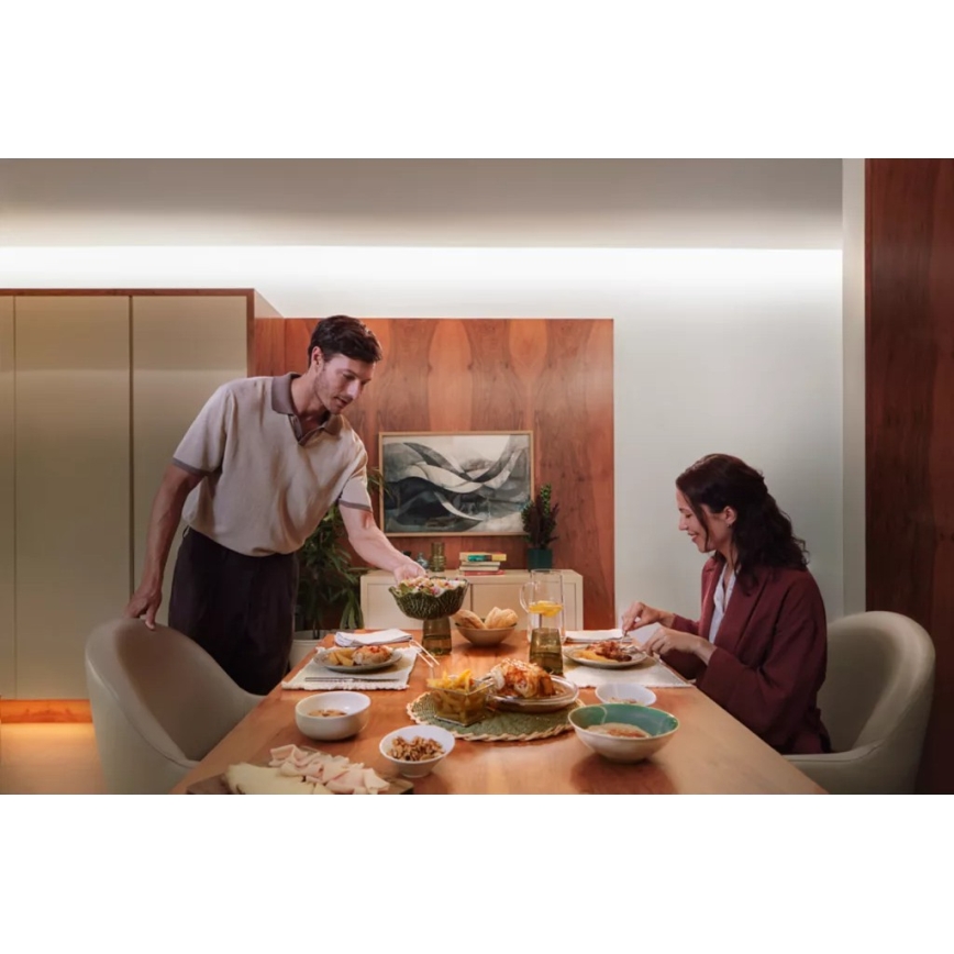 Philips - LED RGBW Stmívatelný pásek Hue FLUX 3+2m LED/48,5W/230V 2200-6500K