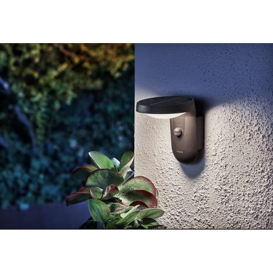 Philips - LED Solární nástěnné svítidlo se senzorem LED/1,2W/4V 1800 mAh 4000K IP44