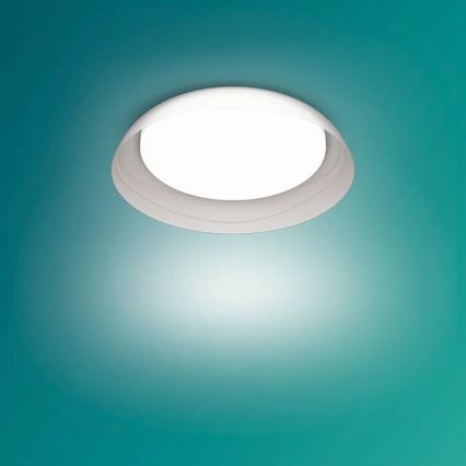 Philips - LED Stmívatelné stropní svítidlo FLETA SCENE SWITCH LED/10W/230V 4000K čirá