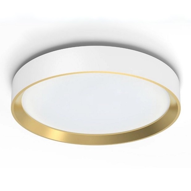 Philips - LED Stmívatelné stropní svítidlo HANNO SCENE SWITCH LED/24W/230V 4000K bílá