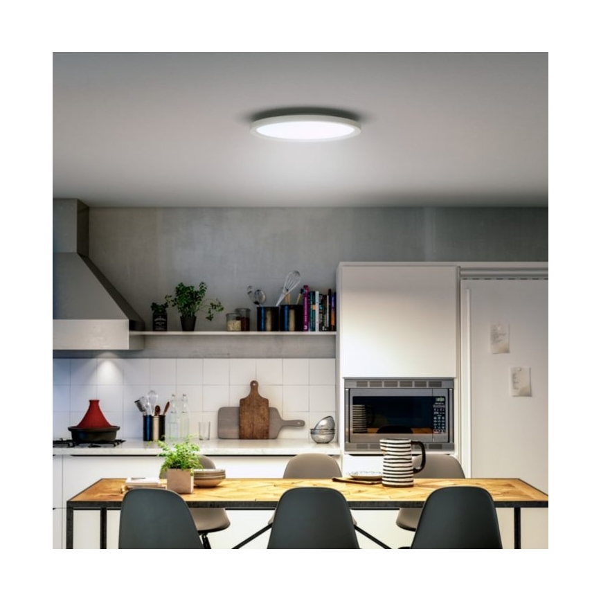 Philips - LED Stmívatelné stropní svítidlo Hue LED/19W/230V 2200-6500K + dálkové ovládání