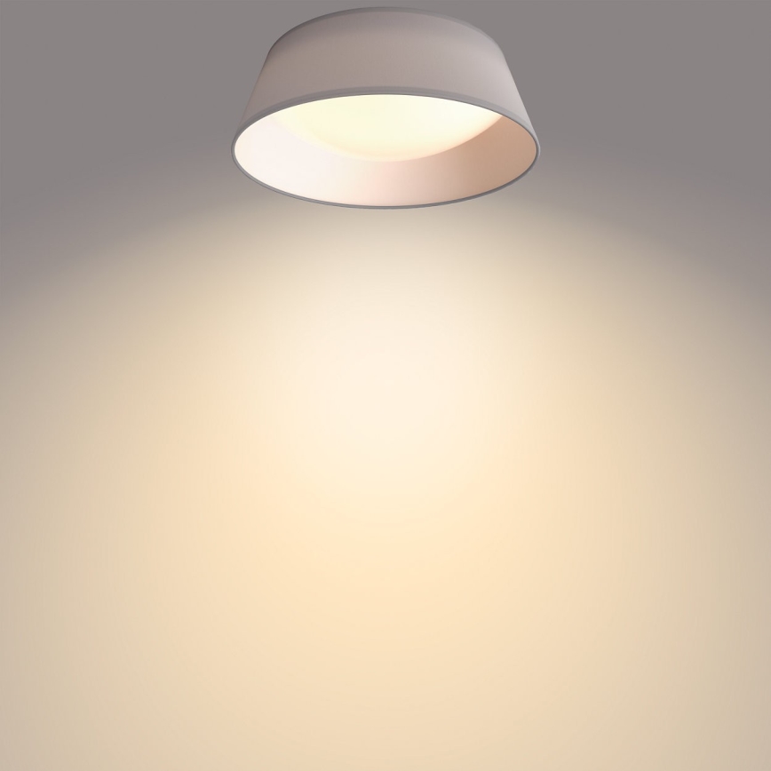 Philips - LED Stropní svítidlo LED/14W/230V šedá