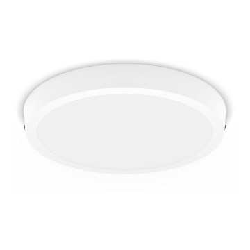 Philips - LED Stropní svítidlo LED/20W/230V 2700K bílá