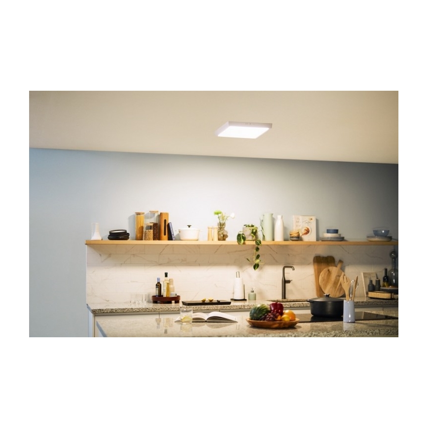 Philips - LED Stropní svítidlo LED/20W/230V 2700K bílá