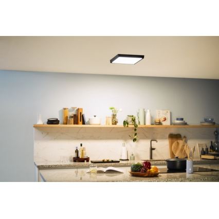 Philips - LED Stropní svítidlo LED/20W/230V 2700K černá