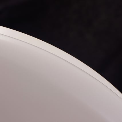 Philips - LED Stropní svítidlo LED/17W/230V 2700K