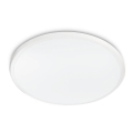 Philips - LED Stropní svítidlo TWIRLY LED/17W/230V