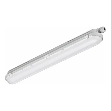 Philips - LED Technické zářivkové svítidlo CORELINE LED/25W/230V 120 cm IP66