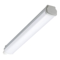 Philips - LED Technické zářivkové svítidlo LEDINAIRE LED/15W/230V 60 cm IP66