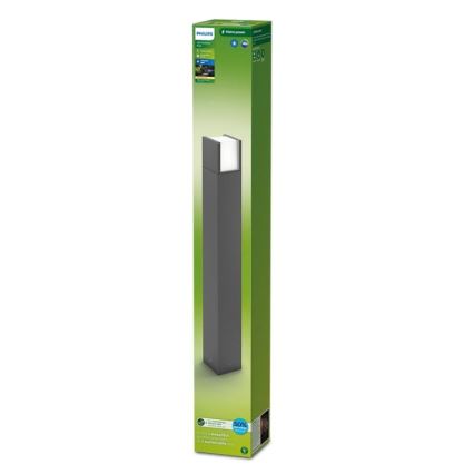 Philips - LED Venkovní lampa ARBOUR LED/3,8W/230V 77 cm 2700K IP44