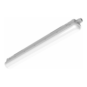 Philips Pila - LED Technické zářivkové svítidlo LED/40W/230V 120 cm IP65