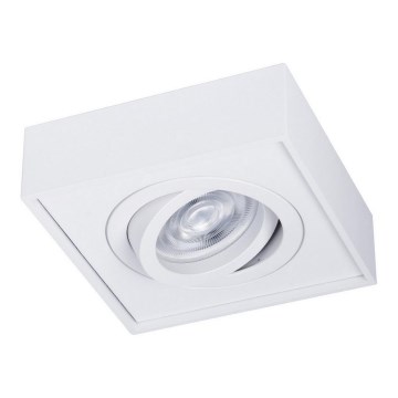 Podhledové bodové svítidlo NUSA 1xGU5,3/MR16/50W/12V hranatý bílá
