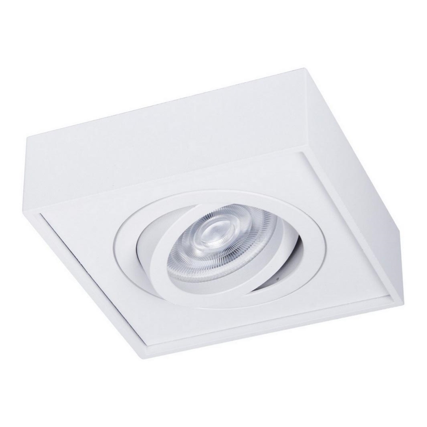 Podhledové bodové svítidlo NUSA 1xGU5,3/MR16/50W/12V hranatý bílá