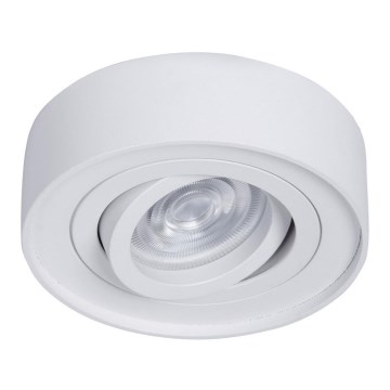 Podhledové bodové svítidlo NUSA 1xGU5,3/MR16/50W/12V kulatý bílá