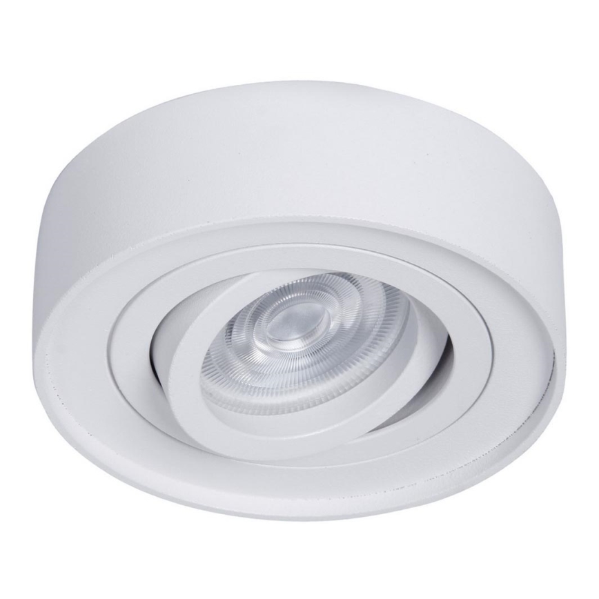 Podhledové bodové svítidlo NUSA 1xGU5,3/MR16/50W/12V kulatý bílá