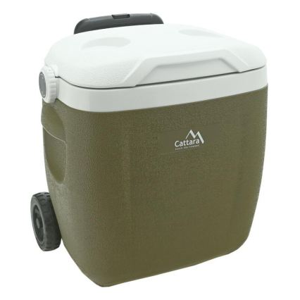 Pojízdný chladící box 16 l zelená