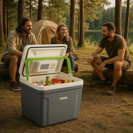 Přenosná autochladnička s funkcí ohřevu 27 l 230V/12V/24V šedá