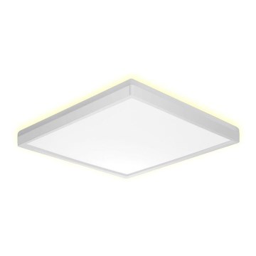 Prezent 27305 - LED Koupelnové stropní svítidlo CORDIA SQ LED/12W/230V 3000/6000K IP54 bílá