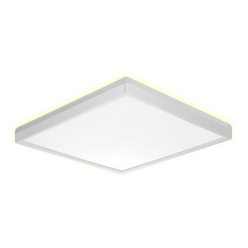Prezent 27309 - LED Koupelnové stropní svítidlo CORDIA SQ LED/24W/230V 3000/6000K IP54 bílá
