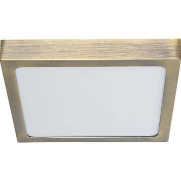 Prezent 49064 - LED Stropní svítidlo LENYS LED/22W/230V 4000K 22,5x22,5 cm mosaz