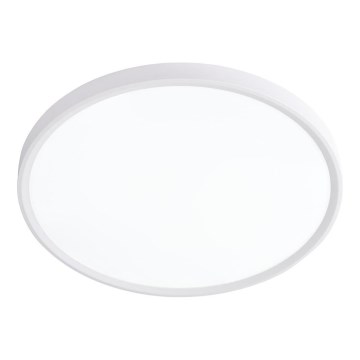 Prezent 70320 - LED Stmívatelné stropní svítidlo TRIMO LED/18W/230V 3000-6000K pr. 23 cm bílá