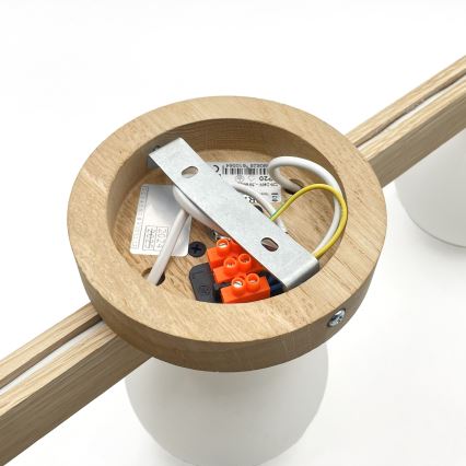 Přisazený lustr ANTONIO 3xG9/5W/230V dub/bílá