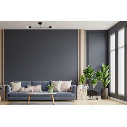 Přisazený lustr CAMBRIDGE 2xE27/15W/230V černá