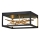 Quintiesse - LED Stropní svítidlo STYX LED/8W/230V černá/zlatá