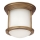 Quintiesse - Venkovní stropní svítidlo HADRIAN 1xE27/60W/230V pr. 16,8 cm IP44 zlatá