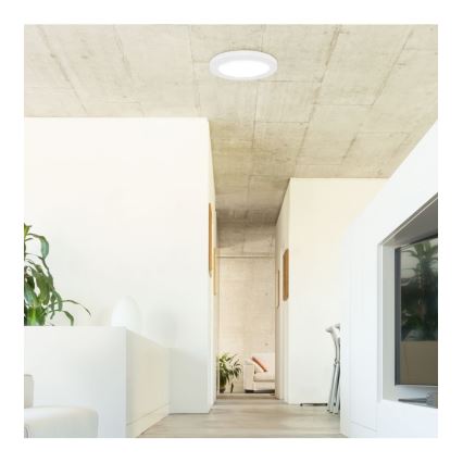Rabalux - LED Stropní svítidlo se senzorem LED/18W/230V 4000K 22,5 cm