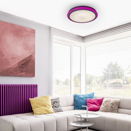 Rabalux - LED Stmívatelné stropní svítidlo na dálkové ovládání RGB LED/32W/230V pr. 40 cm