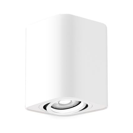 Rabalux - Bodové svítidlo 1xGU10/42W/230V bílá