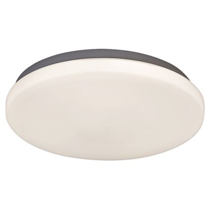 Rabalux 2284 - LED Stropní svítidlo ROB 1xLED/20W/230V
