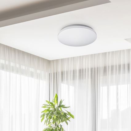 Rabalux 2285 - LED Stropní svítidlo ROB 1xLED/32W/230V