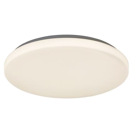 Rabalux - LED Stropní svítidlo LED/32W/230V pr. 38 cm