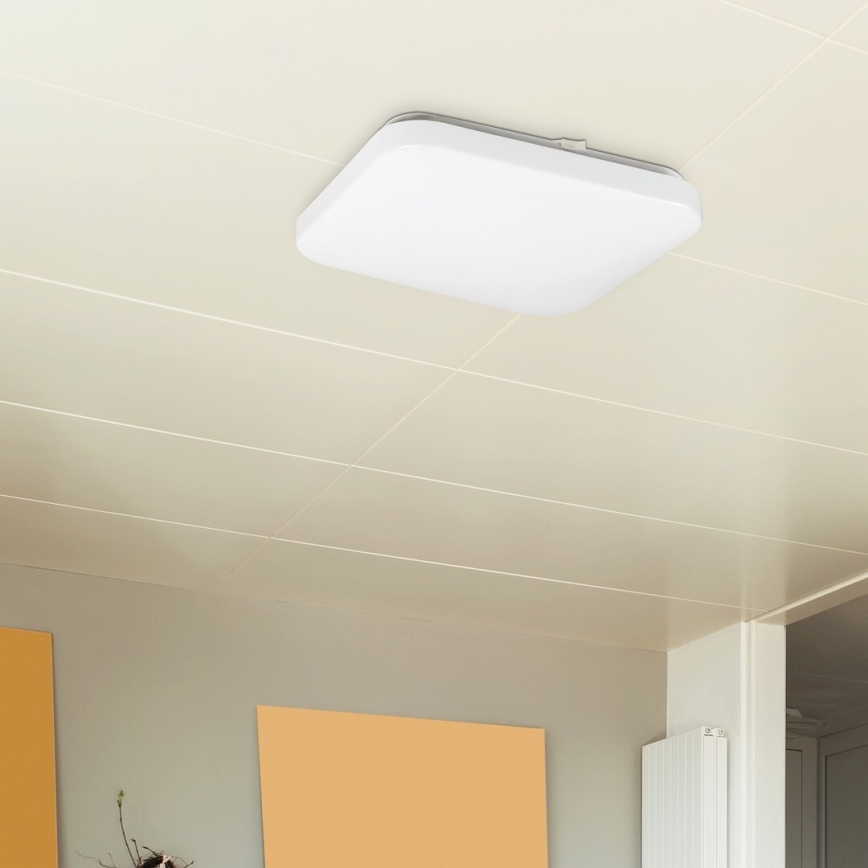 Rabalux 2286 - LED Stropní svítidlo ROB 1xLED/20W/230V