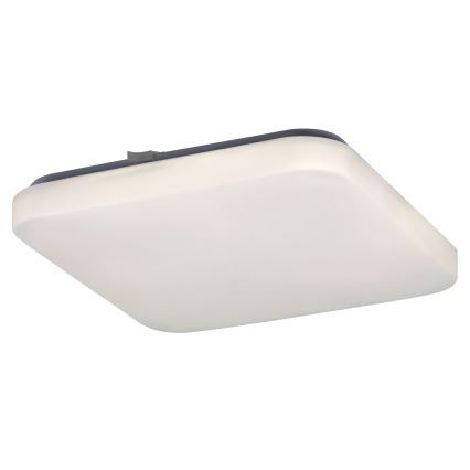 Rabalux 2286 - LED Stropní svítidlo ROB 1xLED/20W/230V