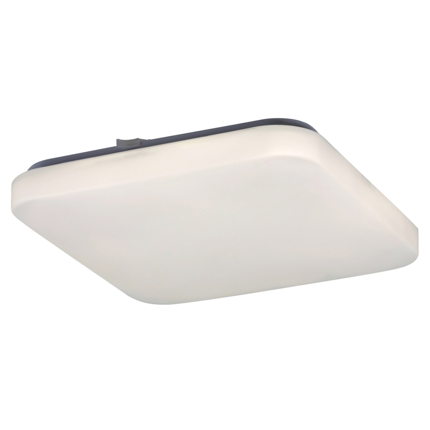 Rabalux 2286 - LED Stropní svítidlo ROB 1xLED/20W/230V
