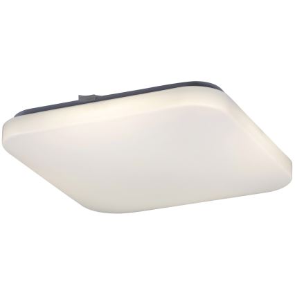 Rabalux 2287 - LED Stropní svítidlo ROB 1xLED/32W/230V