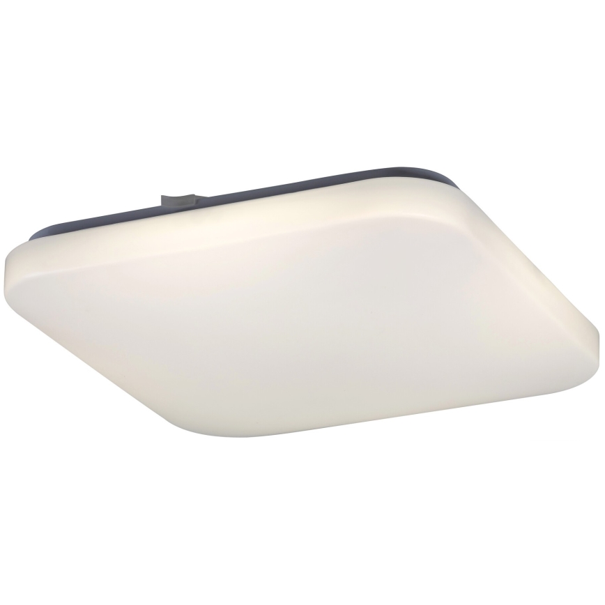 Rabalux 2287 - LED Stropní svítidlo ROB 1xLED/32W/230V