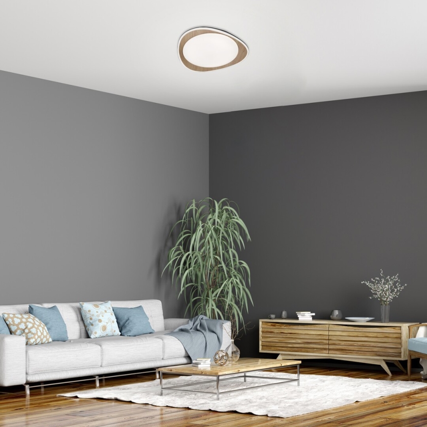 Rabalux - LED Stropní svítidlo LED/24W/230V