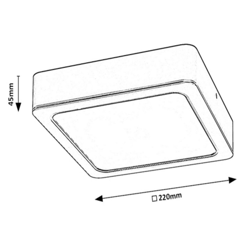 Rabalux - LED Stropní svítidlo LED/24W/230V 22x22 cm