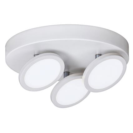 Rabalux 2714 - LED Stropní svítidlo ELSA 3xLED/6W/230V bílá