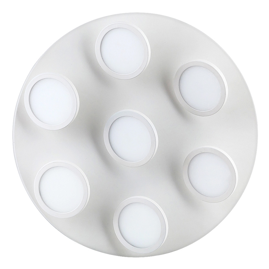 Rabalux 2715 - LED Stropní svítidlo ELSA 7xLED/6W/230V bílá