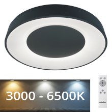 Rabalux 3082 - LED Stmívatelné stropní svítidlo CEILO LED/38W/230V černá 3000-6500K + DO